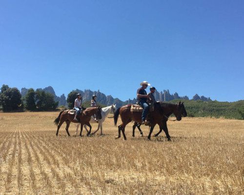 Image featured Horseback Tour. Horseback Tour in Montserrat Natural Park