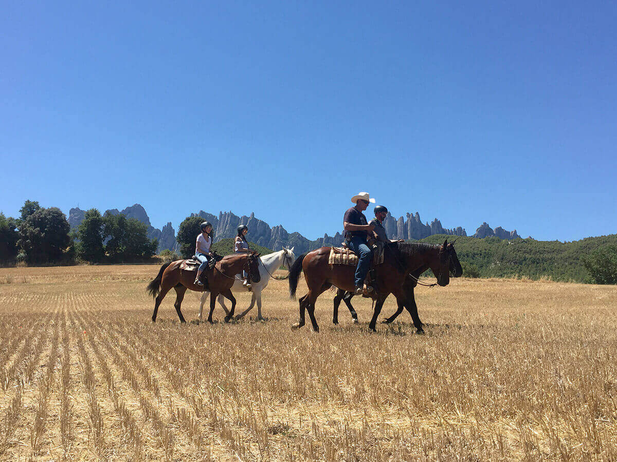 Image featured Horseback Tour. Horseback Tour in Montserrat Natural Park