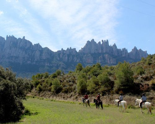 Image featured Riding Day-Trip. Hiking and Horseback Riding Day-Trip in Montserrat.