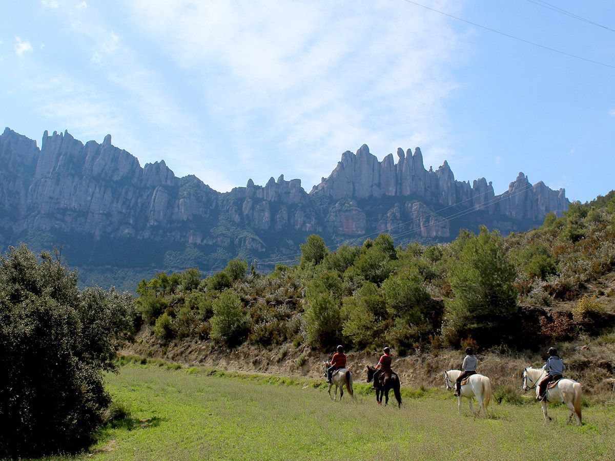 Image featured Riding Day-Trip. Hiking and Horseback Riding Day-Trip in Montserrat.